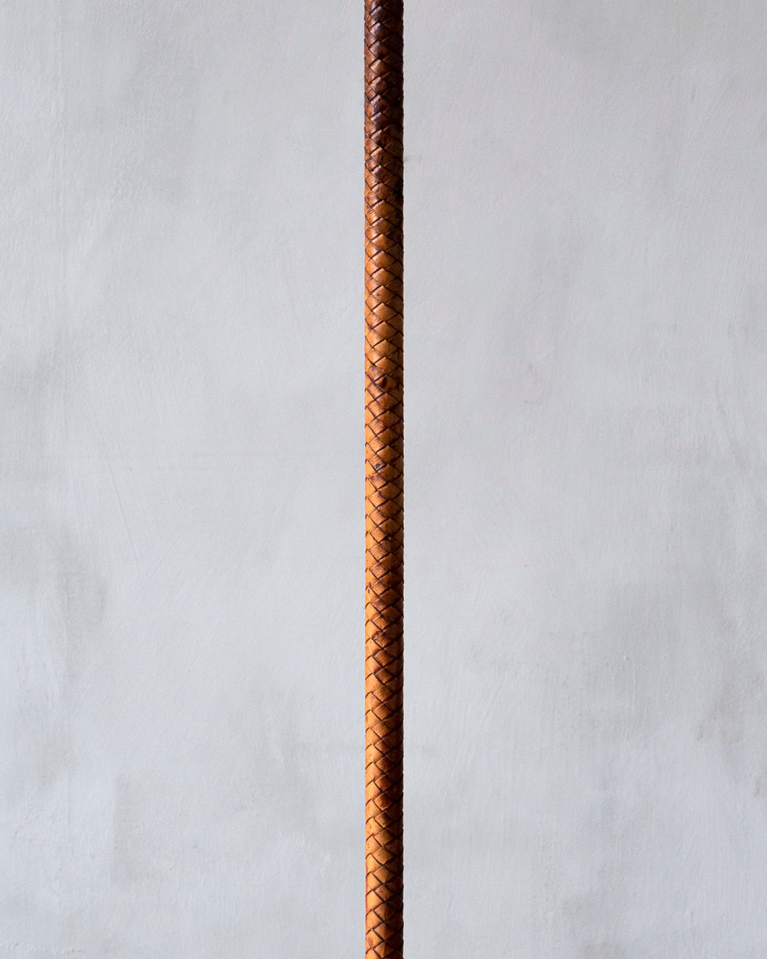 mid-century modern floor lamp