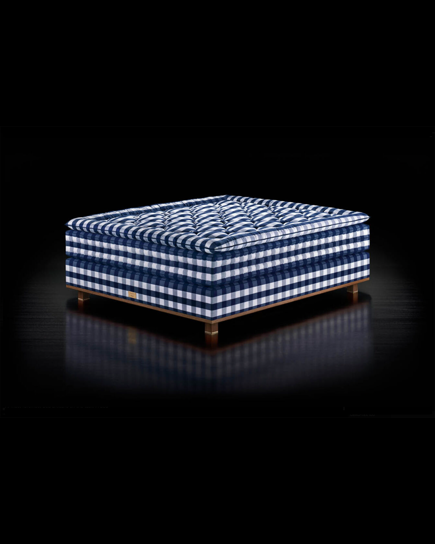 Hastens Vividus Emerson Bailey