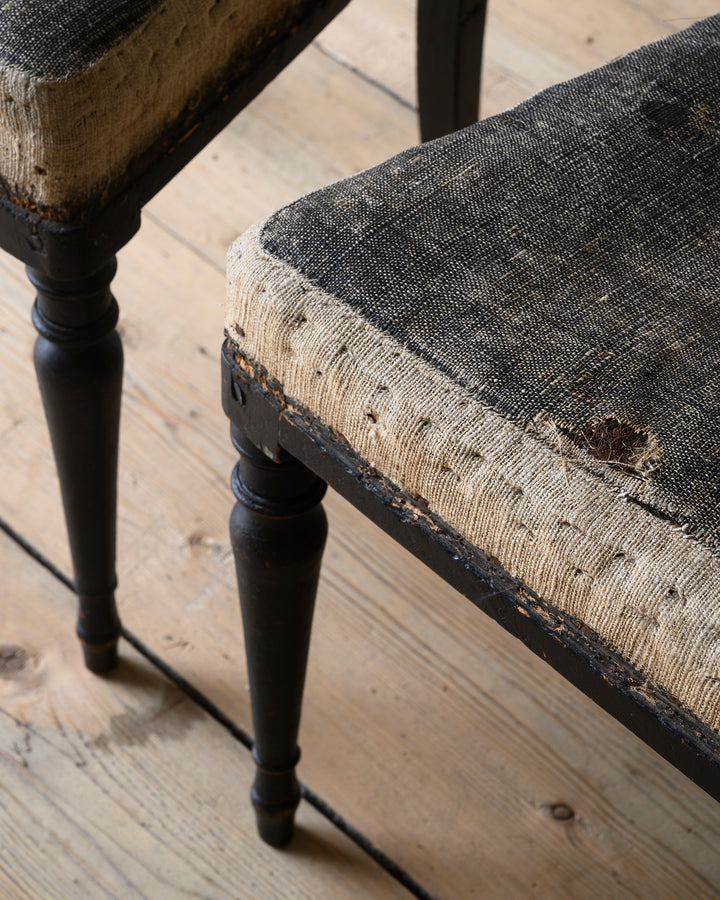 Gustavian Chairs