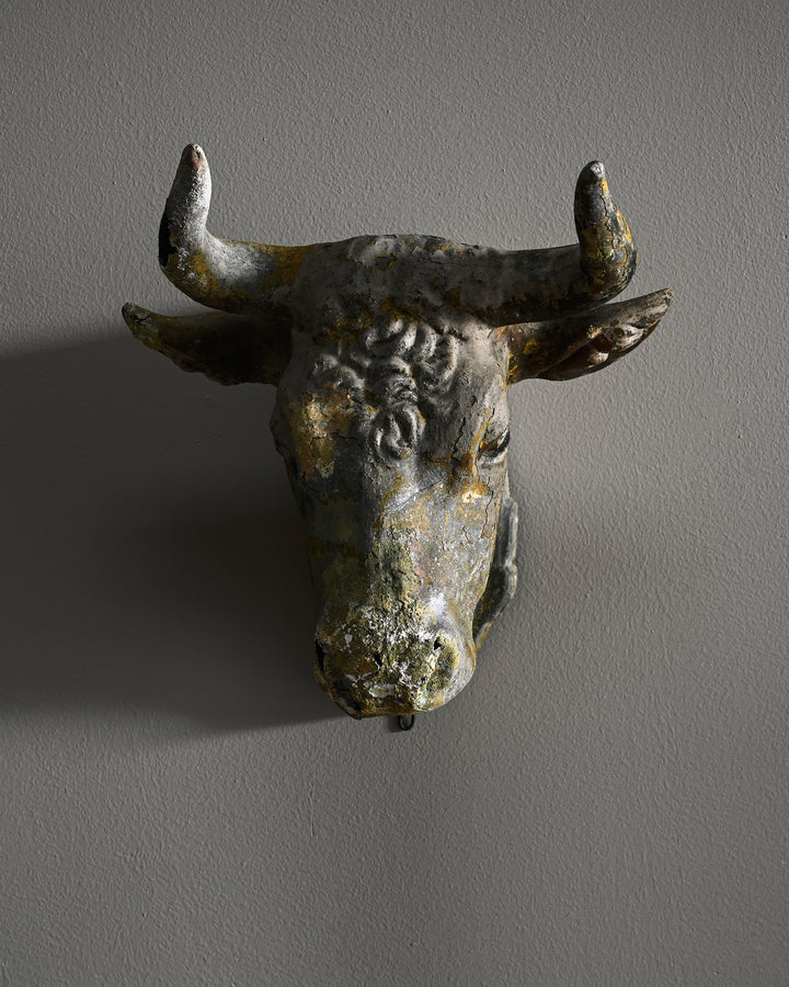 19th century butcher's bull's head
