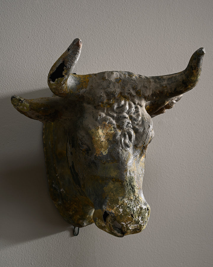19th century butcher's bull's head