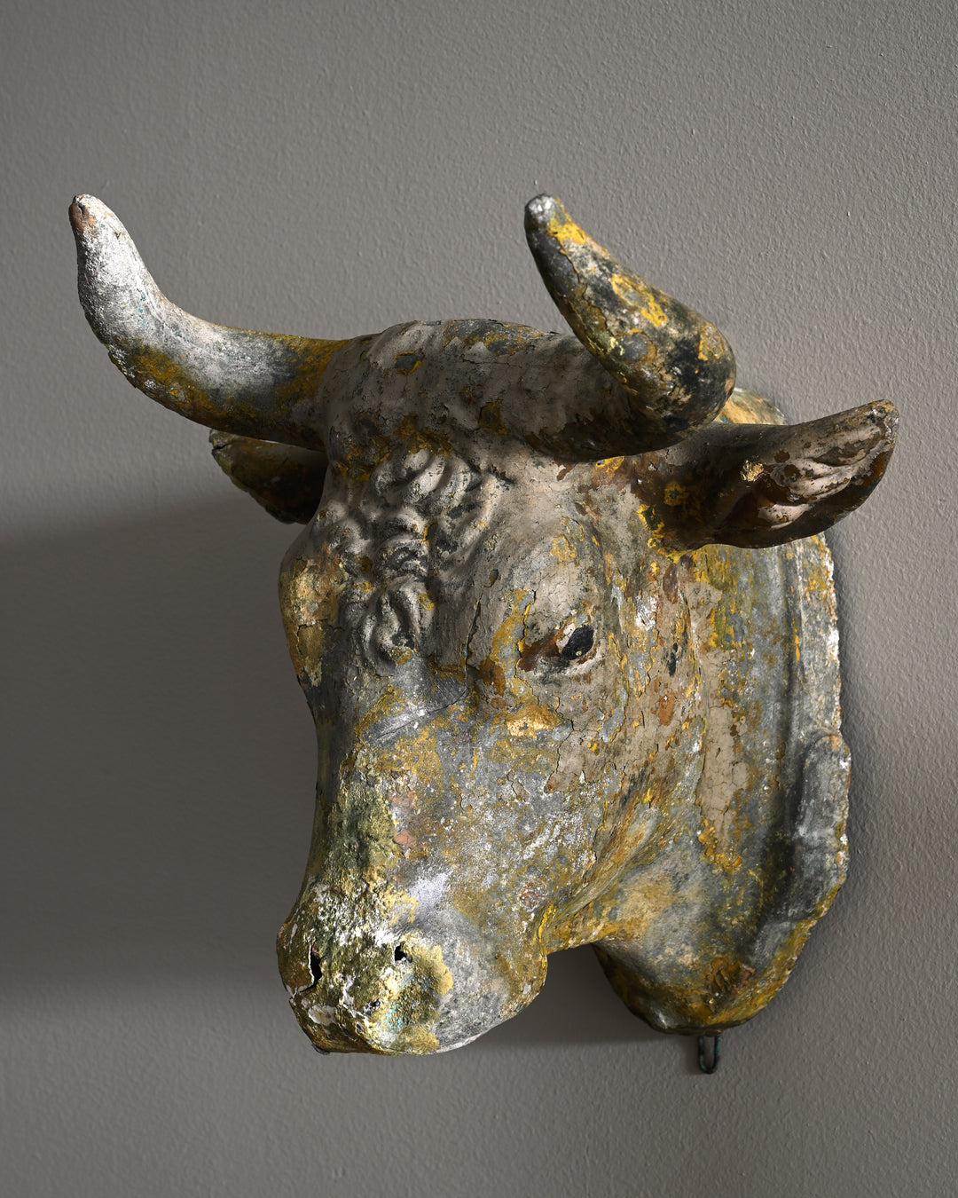 19th century butcher's bull's head