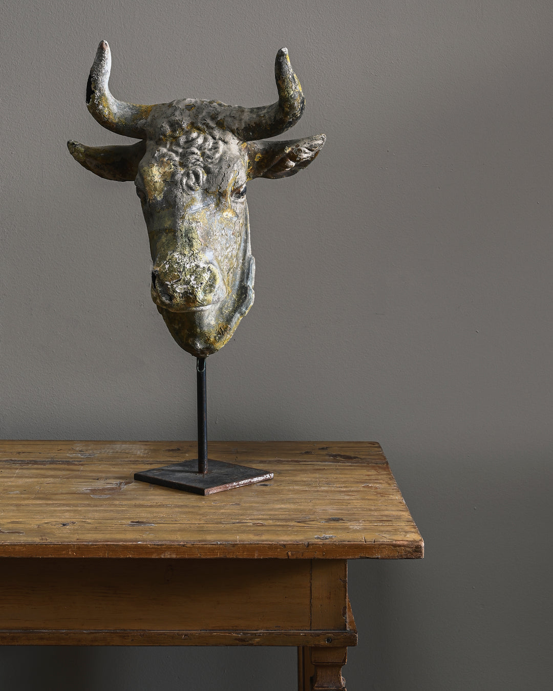 19th century butcher's bull's head