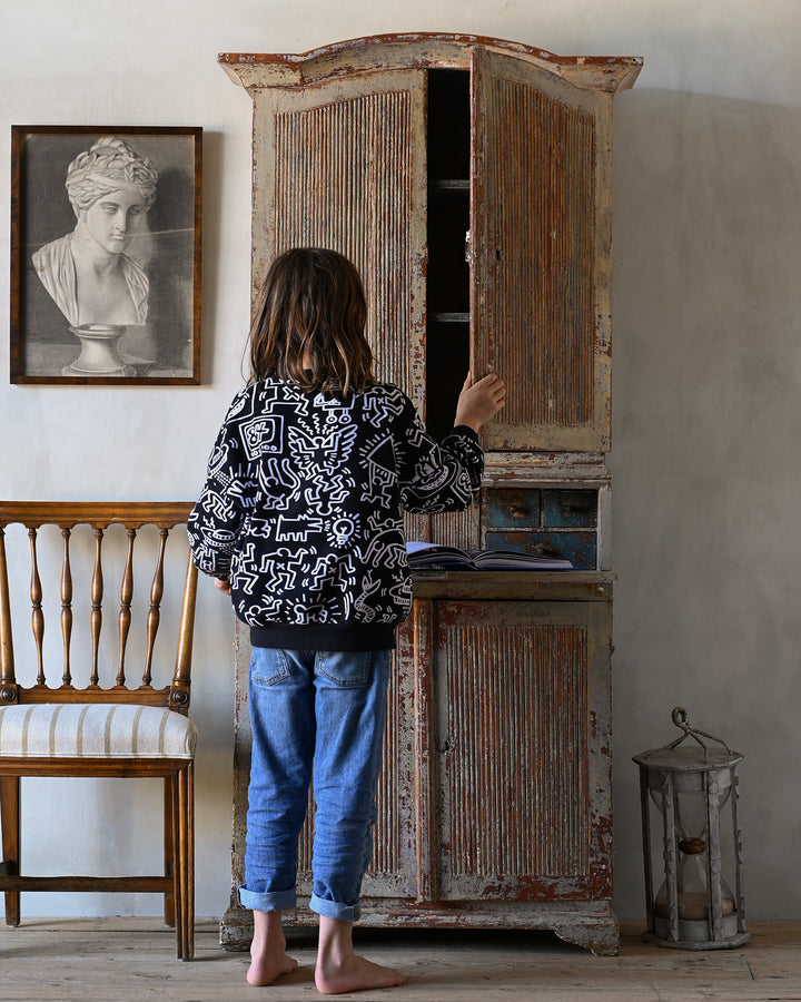 small 19th century Gustavian cabinet